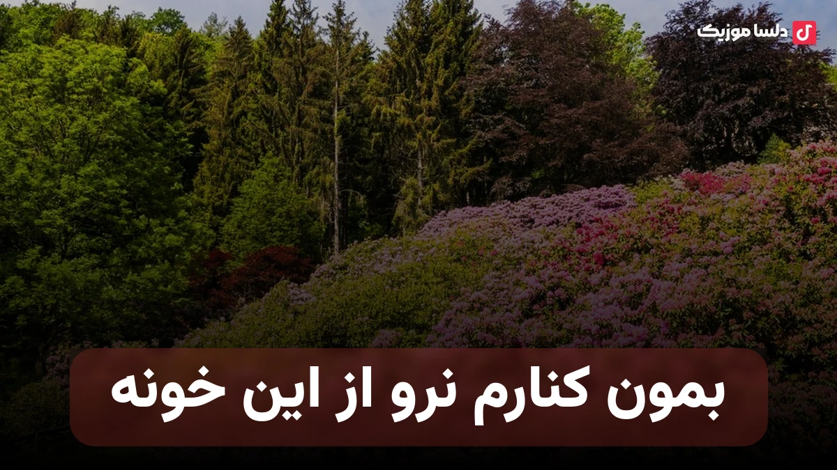 بمون کنارم نرو از این خونه با صدای زن
